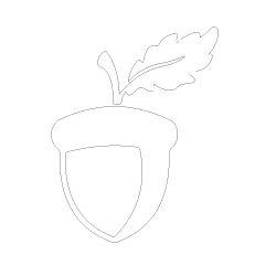 Acorn to Oak Academy