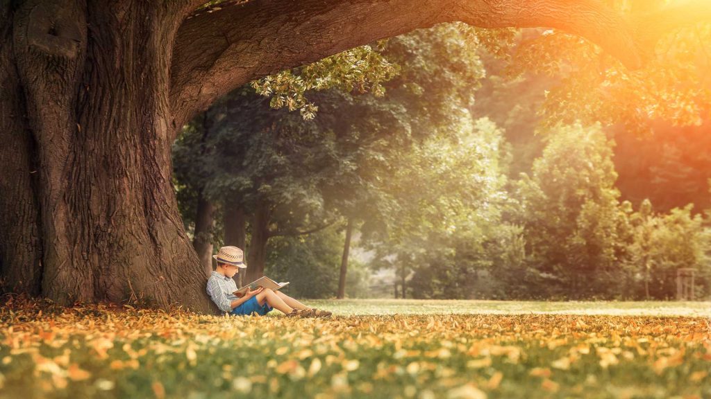 Learn to love to learn